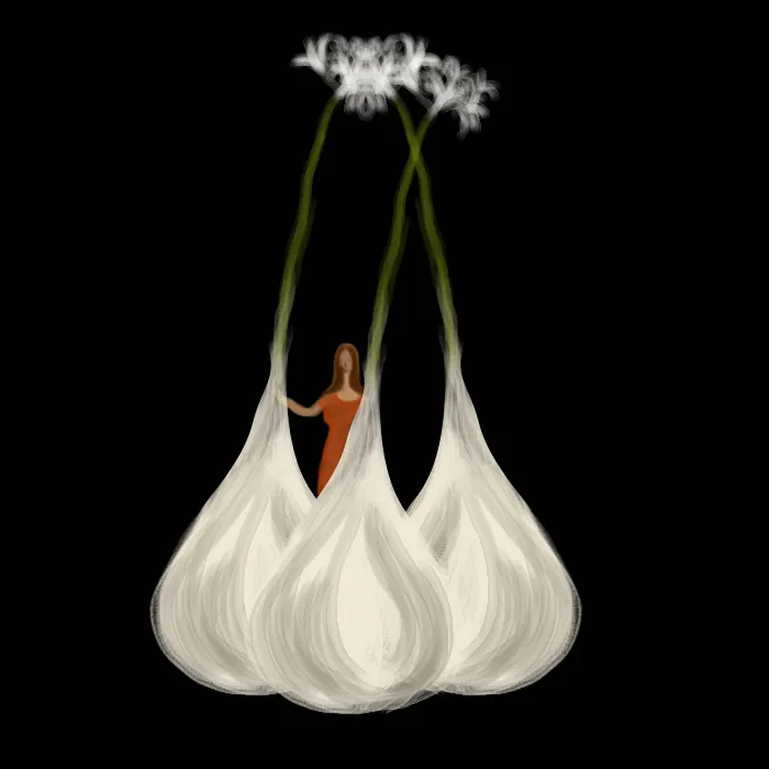 Dracula, Novel, Lalitha Gouri, IEMalayalam