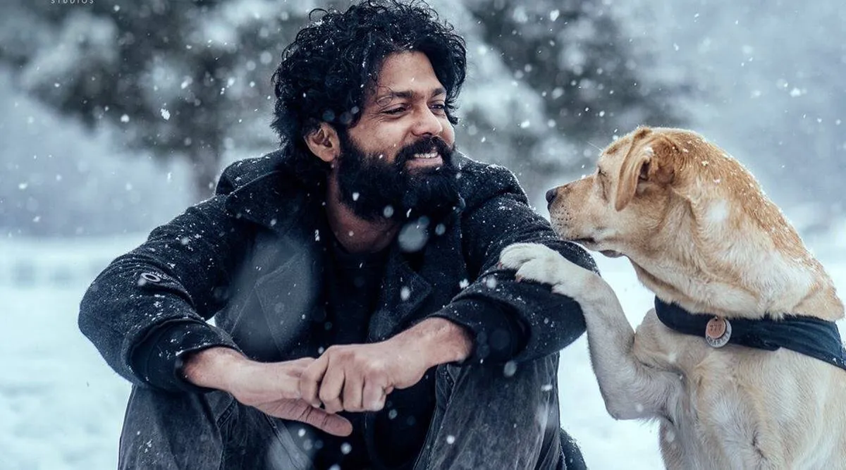  777 Charlie review, 777 Charlie movie review, 777 Charlie film review, Rakshit Shetty, Bobby Simha, Danish Sait, Kiranraj K, Sangeetha Sringeri, 777 charlie full movie, 777 charlie full movie download, 777 charlie full movie ott, 777 charlie full movie watch online