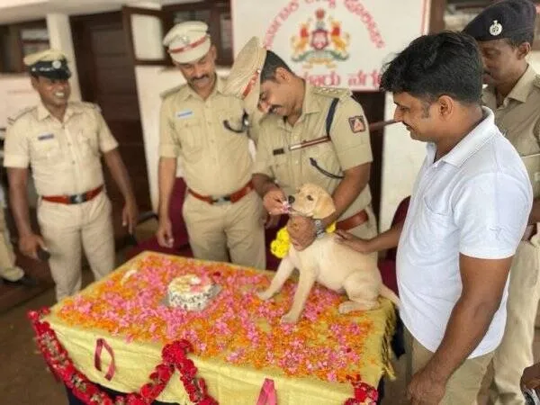 777 Charlie, Mangalore police dog Charlie, Rakshit Shetty