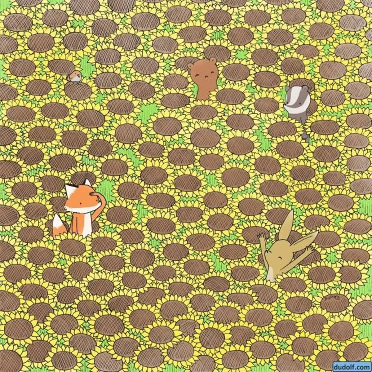 Optical illusion, Optical illusion puzzle,  Spot the butterfly