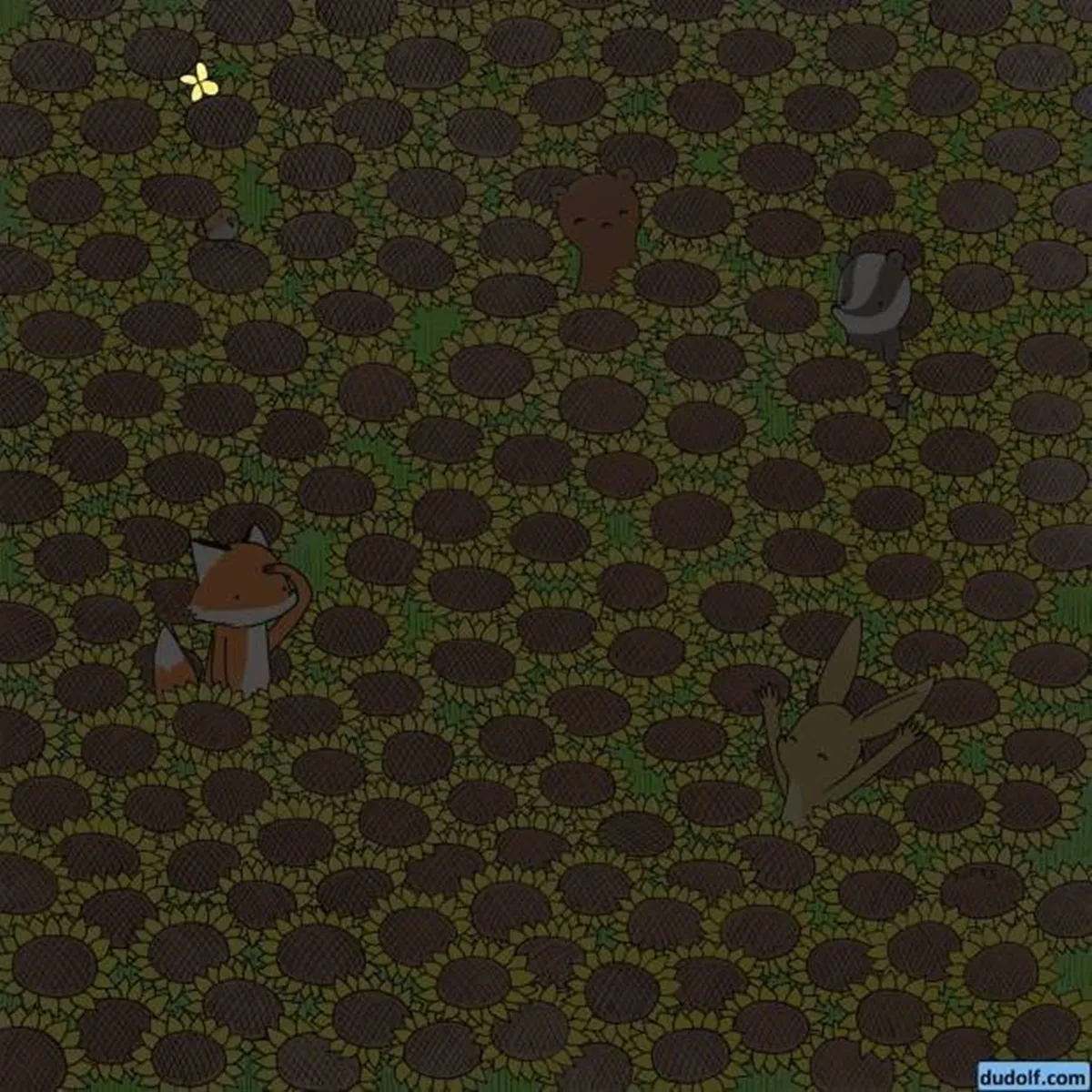 Optical illusion, Optical illusion puzzle,  Spot the butterfly