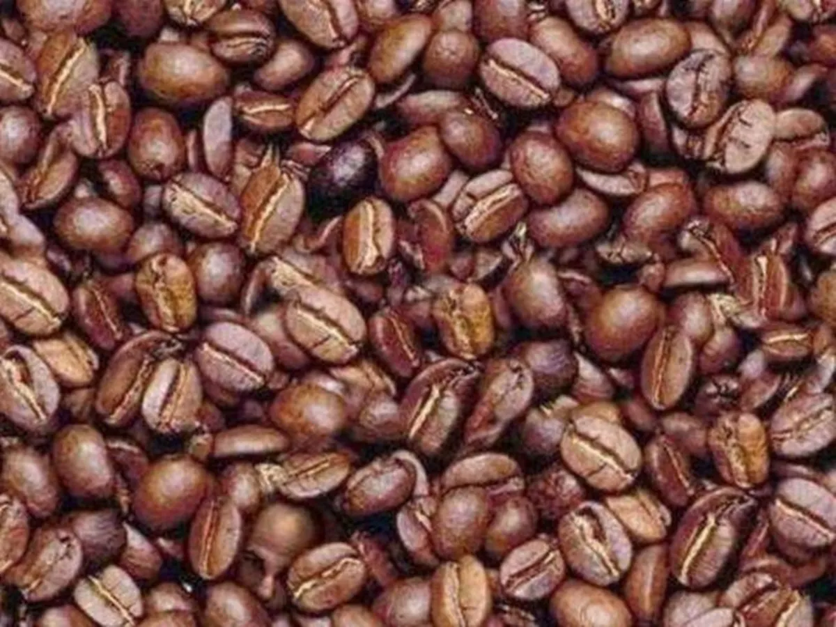 optical illusion, optical illusion picture, man face among coffee beans