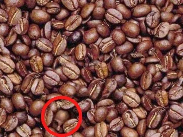 optical illusion, optical illusion picture, man face among coffee beans