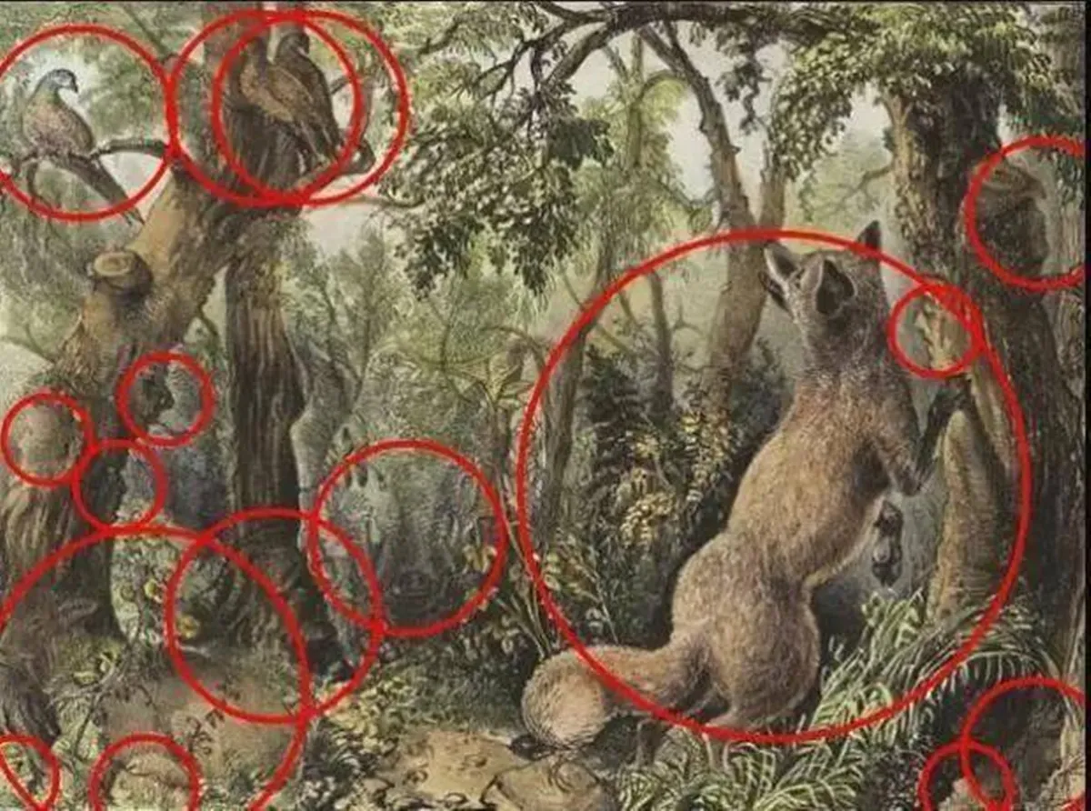 optical illusion, optical illusion IQ test, optical illusion viral picture