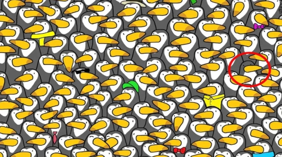 Optical Illusion, Viral picture, Penguin among Toucans