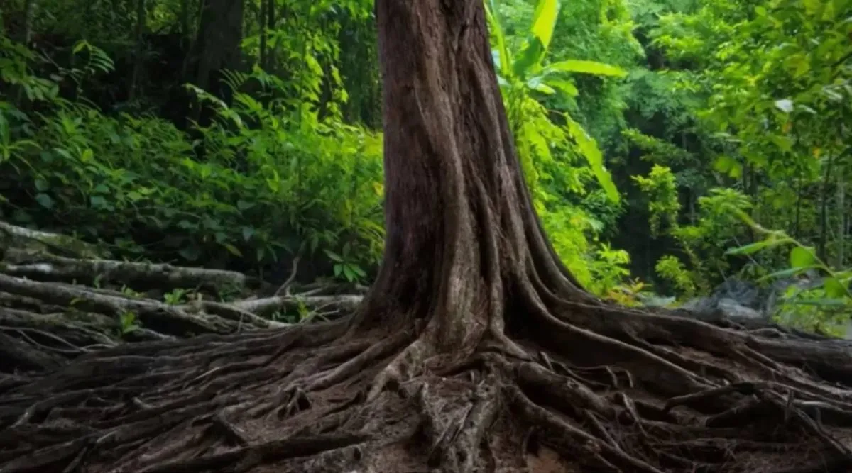 Optical illusion, Spot the snake 10 second challenge, Opt