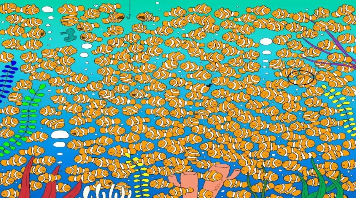 Optical illusion, Optical illusion task, Optical illusion IQ test