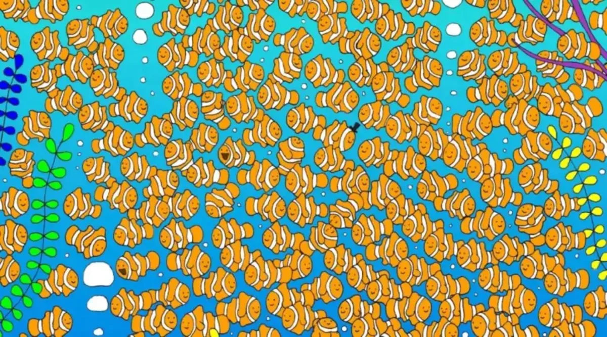 Optical illusion, Optical illusion task, Optical illusion IQ test
