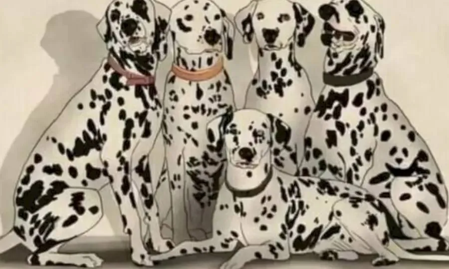 Optical illusion, Spot the Panda, Optical illusion viral picture
