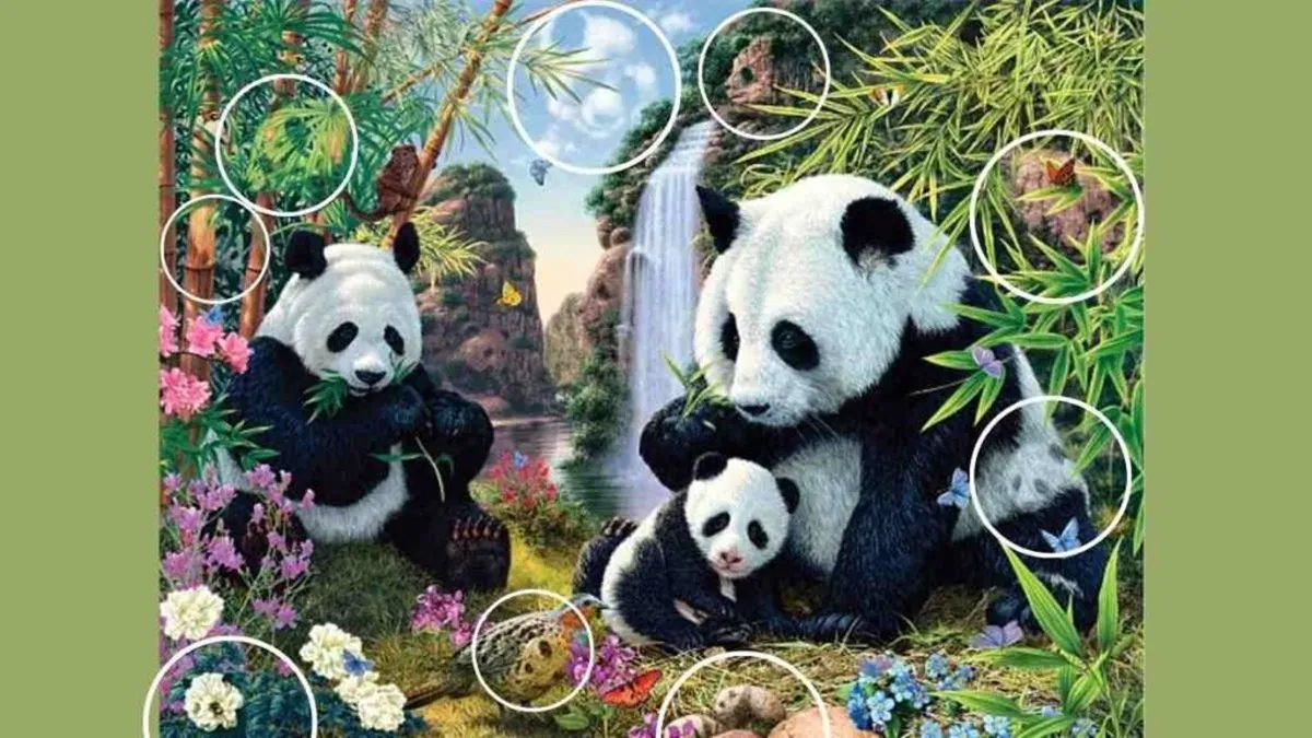 optical illusion, spot the hidden pandas, optical illusion IQ test