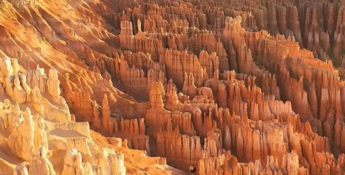 Optical Illusion Pictures, Spot the hidden Lions, Bryce canyon national park