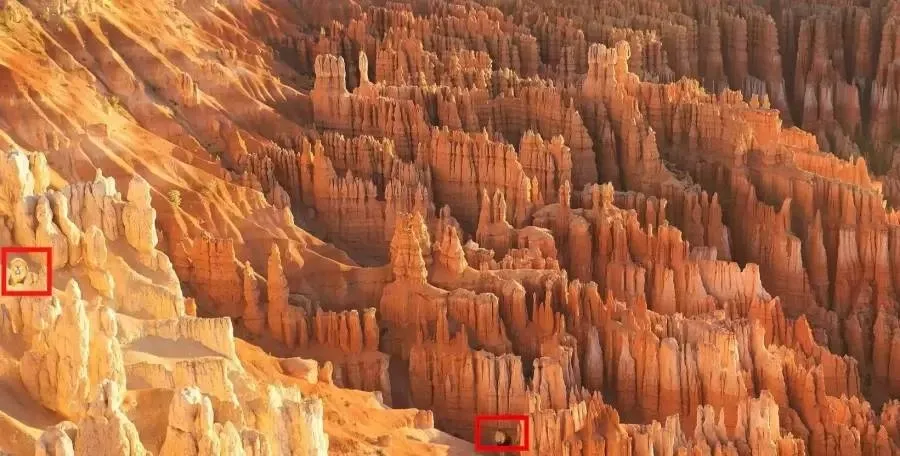 Optical Illusion Pictures, Spot the hidden Lions, Bryce canyon national park