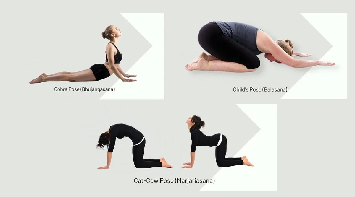 Tollywood actresses' yoga poses for tranquillity | The Times of India