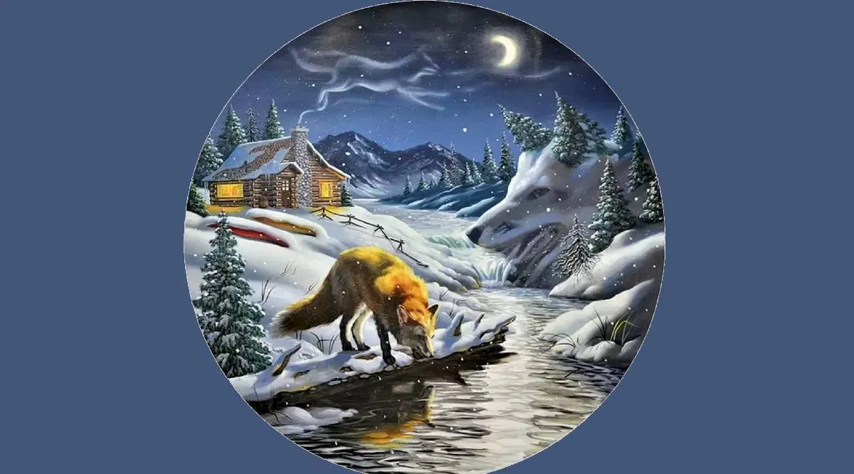 Optical Illusion Pictures, Spot the foxes, ie malayalam