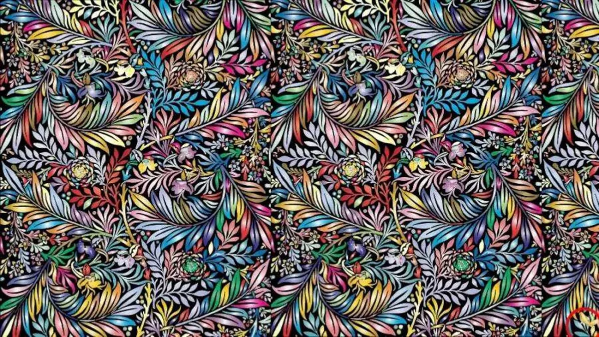 Optical illusion, Spot the hidden gold fish, Find gold fish within 15 seconds