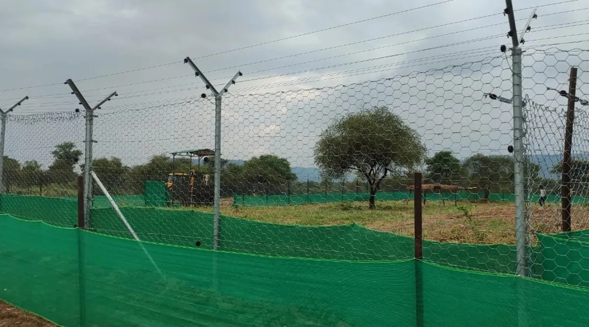 cheetahs, forest, ie malayalam