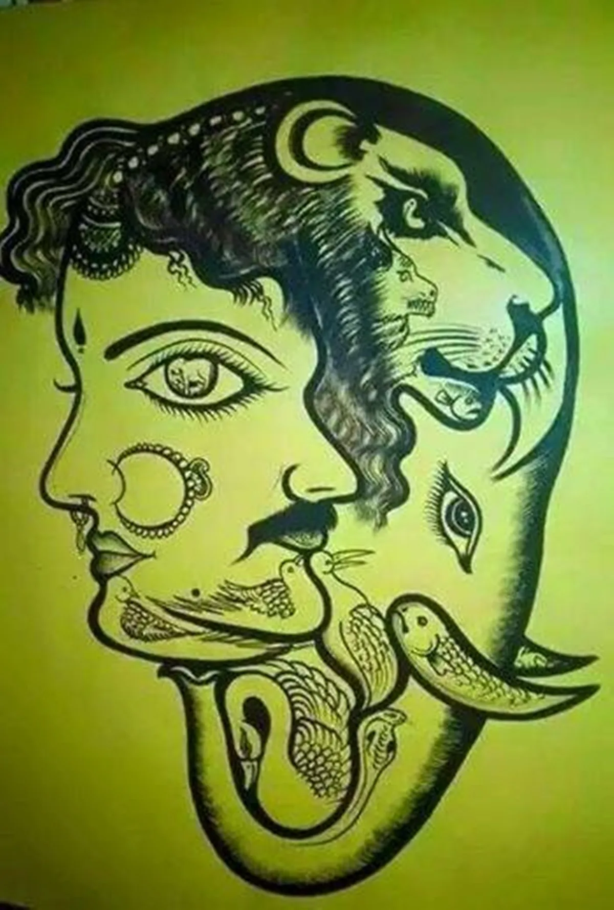Optical illusion, Spot the hidden animals, Spot the hidden birds, Optical Illusion viral pictures