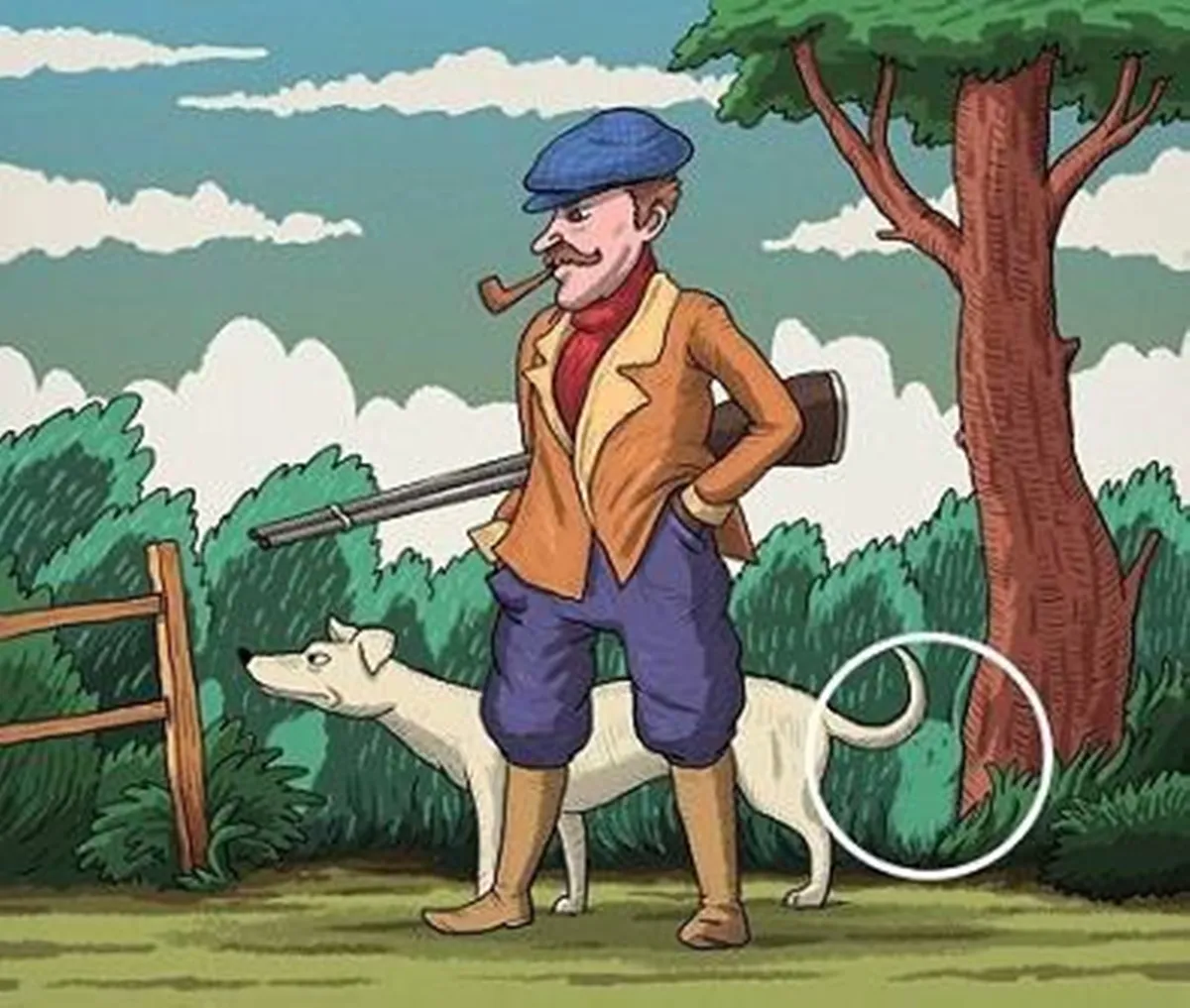 Optical illusion, Spot the hidden rabbit , Optical Illusion game viral, ie malayalam