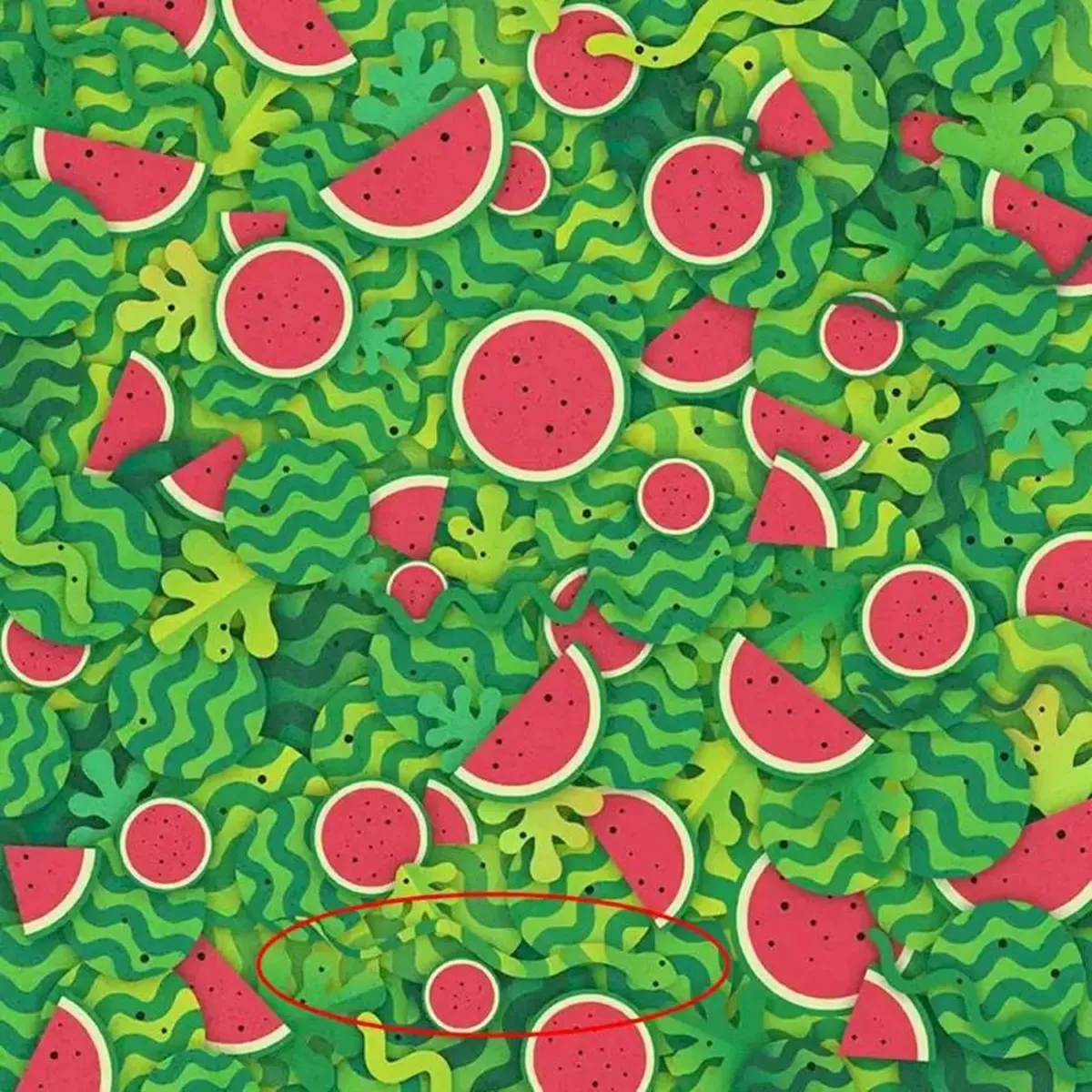 Optical illusion, spot the snake among watermelon, spot the snake optical illusion, ie malayalam
