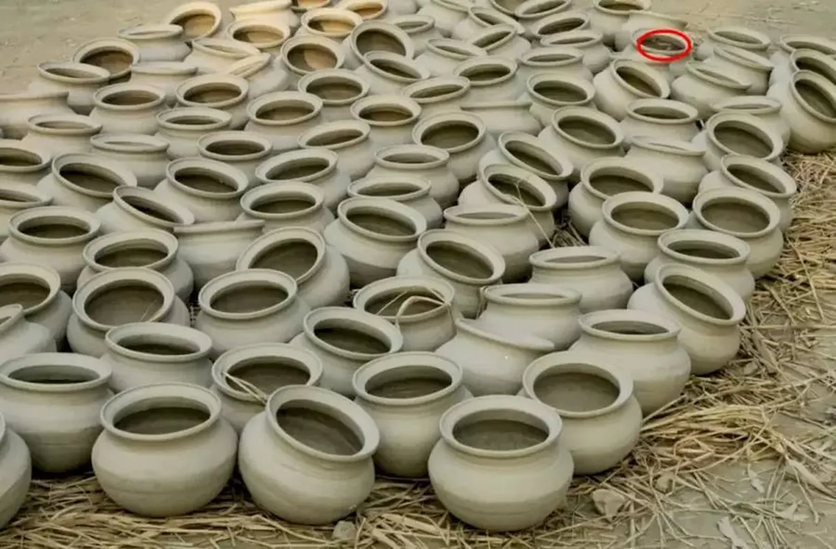 Optical illusion, Spot the hidden snake, Hidden snake inside pot, Optical Illusion game, optical illusion puzzle