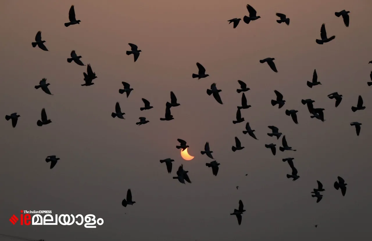 Solar Eclipse, Solar Eclipse 2022 October 25, Solar Eclipse Photos, Solar Eclipse images, Solar Eclipse pictures