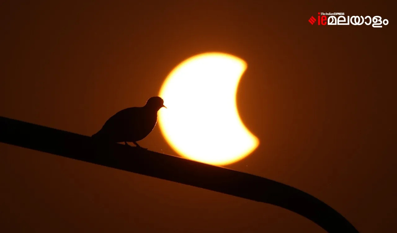 Solar Eclipse, Solar Eclipse 2022 October 25, Solar Eclipse Photos, Solar Eclipse images, Solar Eclipse pictures