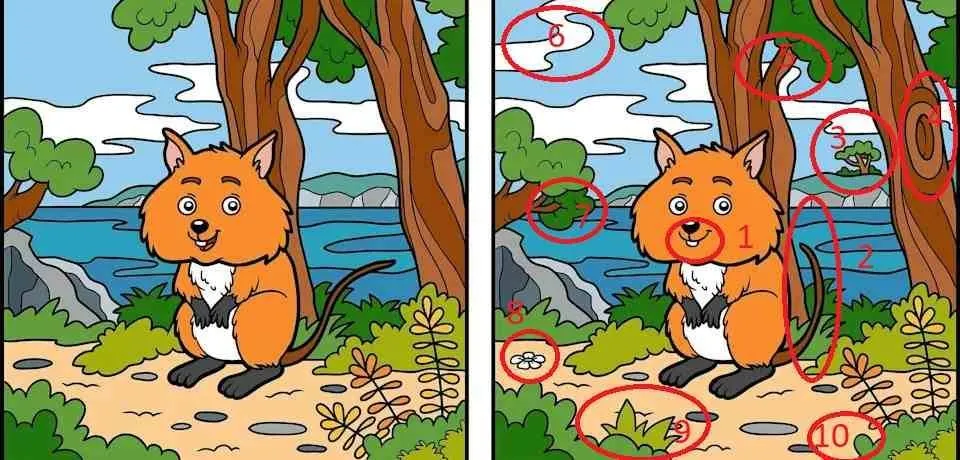 Spot the differences, Spot the differences game, Spot the differences puzzle, Optical illusion game Optical