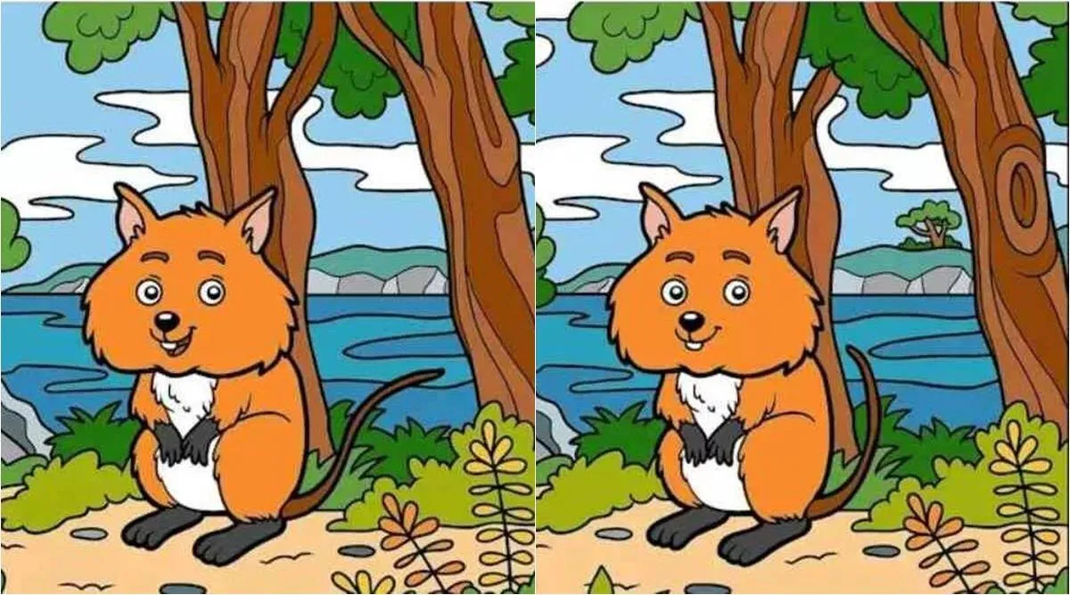 Spot the differences, Spot the differences game, Spot the differences puzzle, Optical illusion game Optical