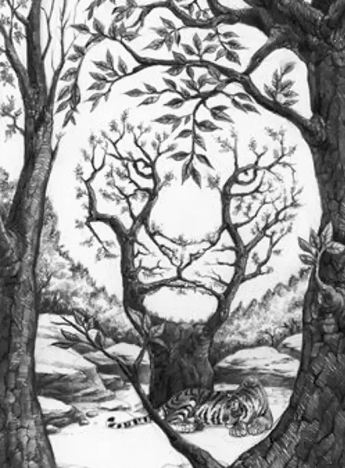 Optical illusion, Spot the hidden tiger, Hidden tiger Optical illusion, viral stories