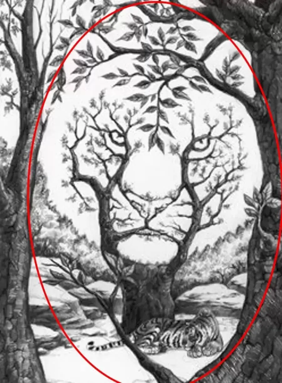 Optical illusion, Spot the hidden tiger, Hidden tiger Optical illusion, viral stories