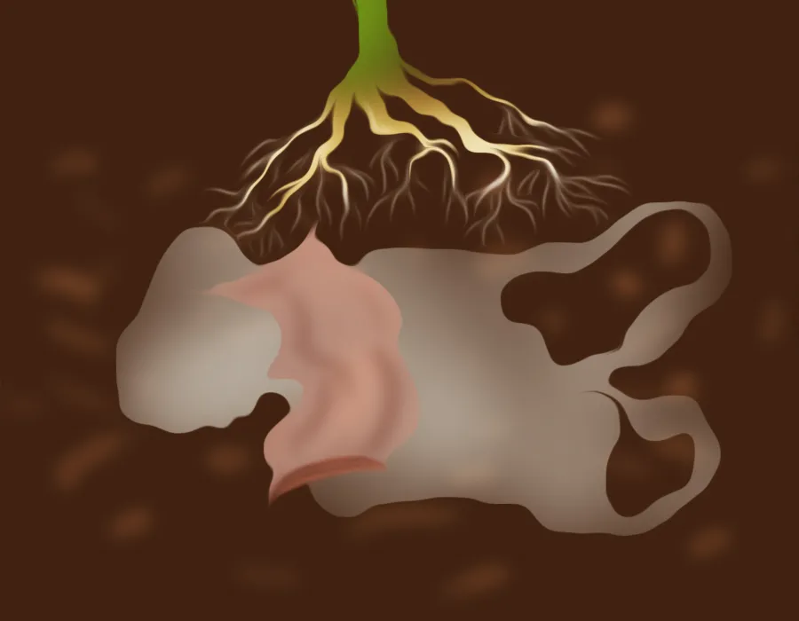 adish raj, story, iemalayalam