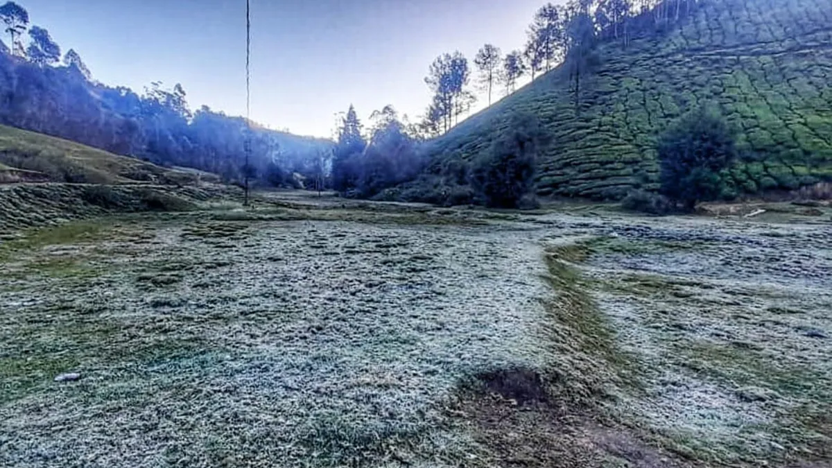 Munnar, Munnar temperature minus degree Celsius, Munnar snowfall, Munnar snowfall photos, Munnar tourism