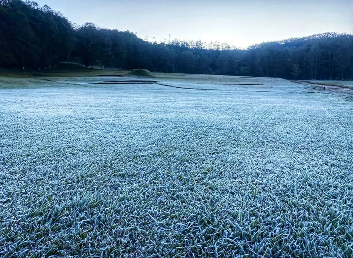Munnar, Munnar temperature minus degree Celsius, Munnar snowfall, Munnar snowfall photos, Munnar tourism