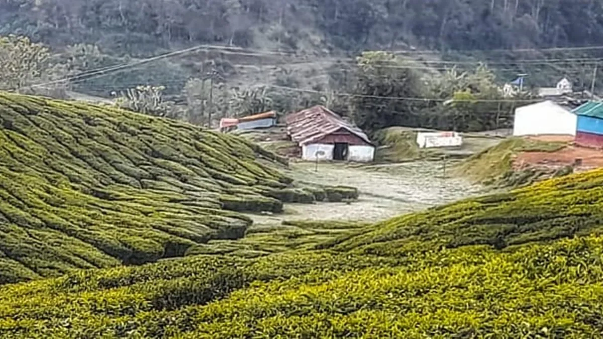 Munnar, Munnar temperature minus degree Celsius, Munnar snowfall, Munnar snowfall photos, Munnar tourism