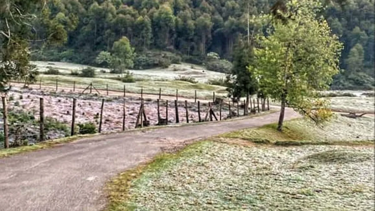 Munnar, Munnar temperature minus degree Celsius, Munnar snowfall, Munnar snowfall photos, Munnar tourism