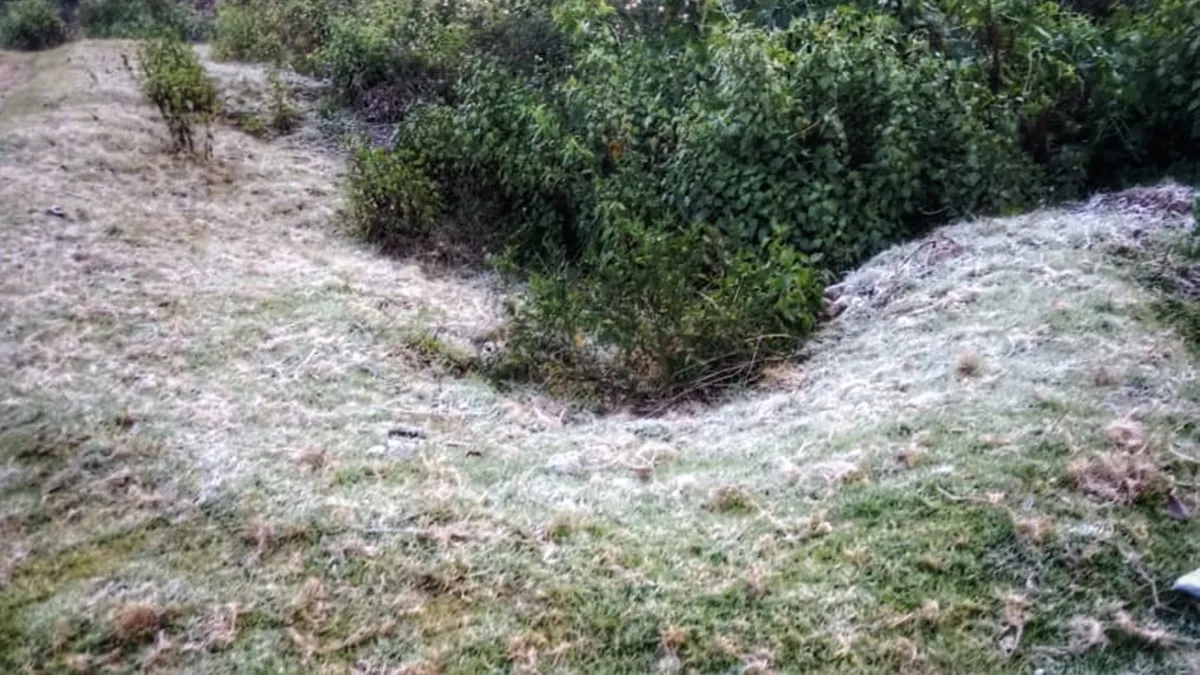 Munnar, Munnar temperature minus degree Celsius, Munnar snowfall, Munnar snowfall photos, Munnar tourism
