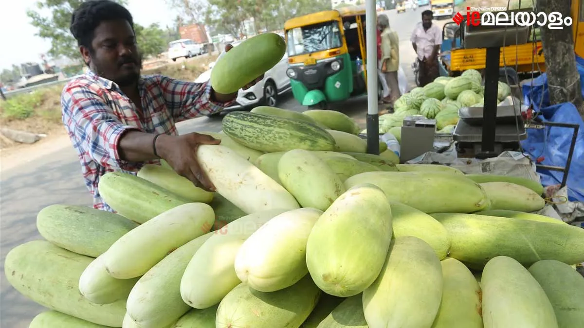 summer heat, pottuvellari, iemalayalam