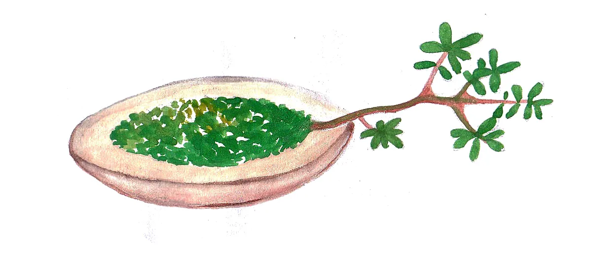 Arsha Kabani, Poem, IE Malayalam
