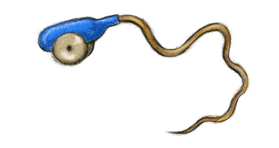 rahul manappattu, poem, iemalayalam