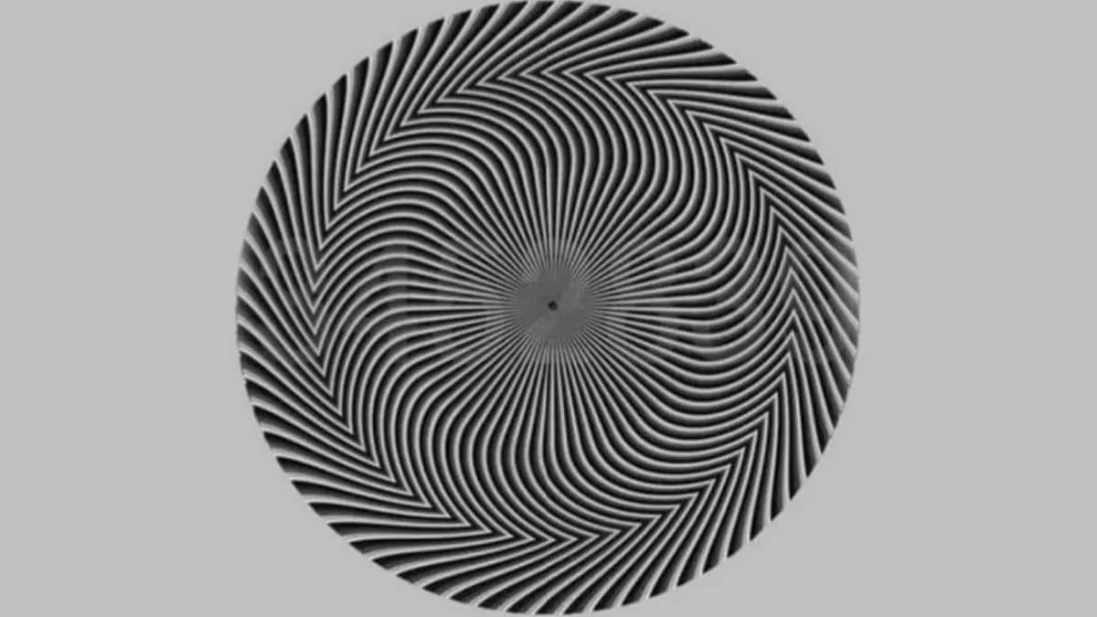 Optical illusion personality test, Optical illusion, Optical illusion Picture, Optical illusion Pictures, Optical illusion Latest,Optical illusion Viral, Optical illusion Personality, IE Malayalam