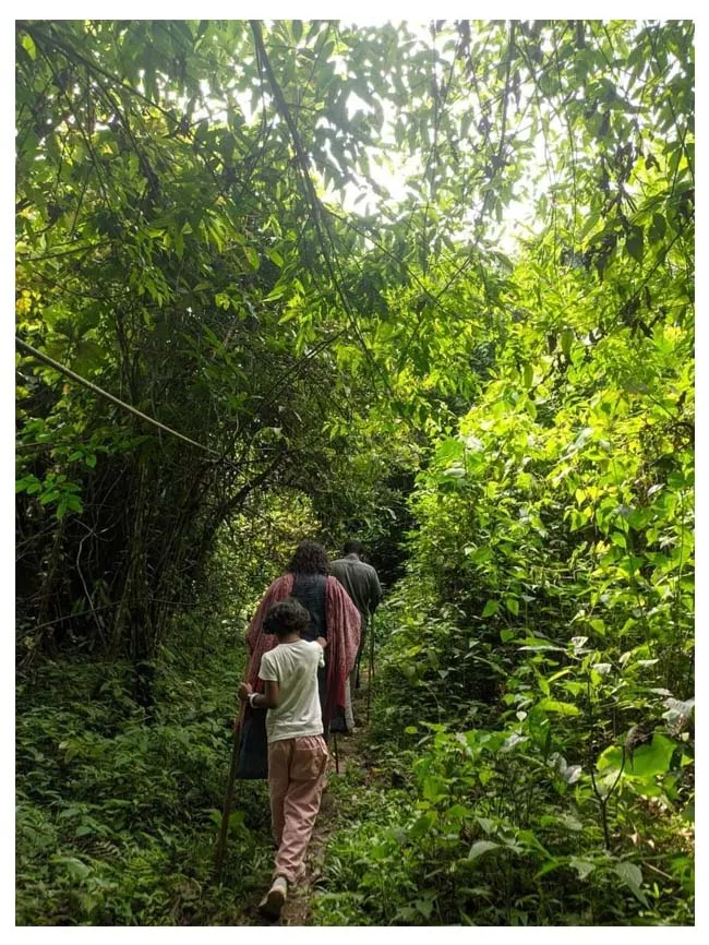 world environment day, Myna Umaiban, iemalayalam