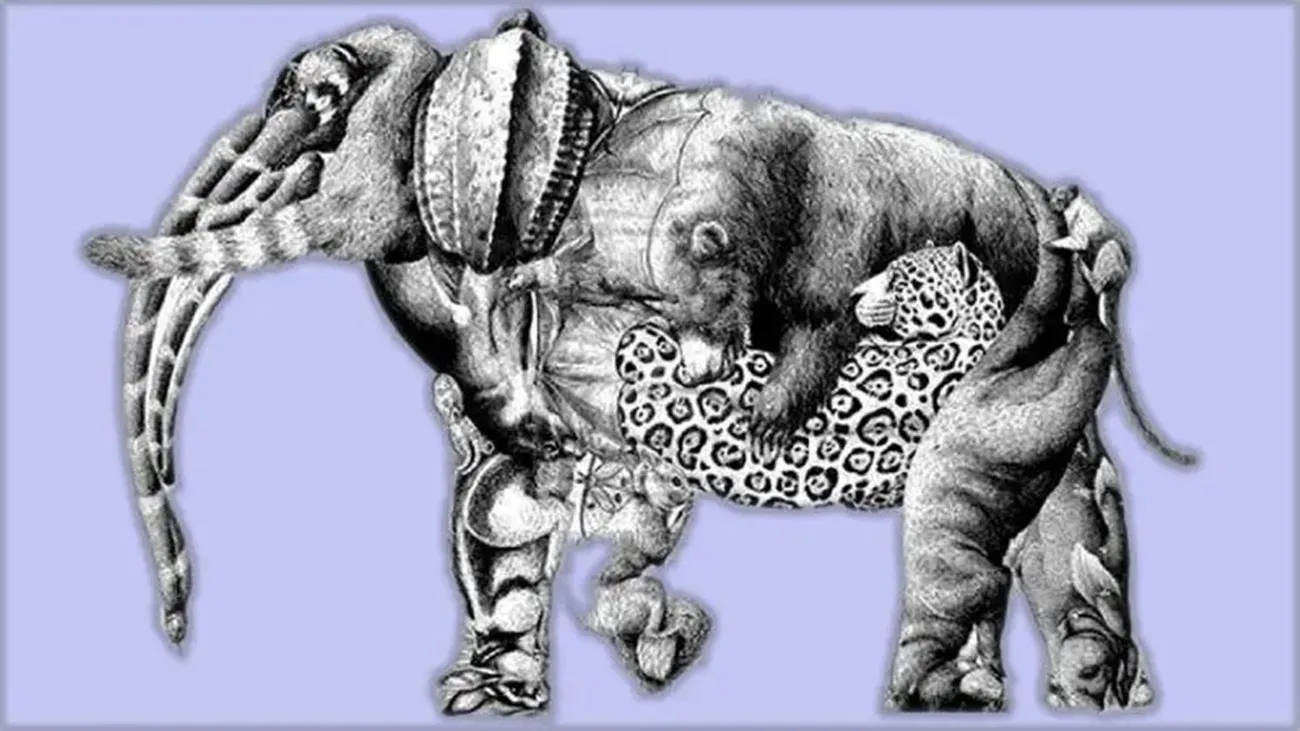 Optical illusion personality test, Optical illusion, Optical illusion Picture, Optical illusion Pictures, Optical illusion Latest,Optical illusion Viral, Optical illusion Personality, IE Malayalam