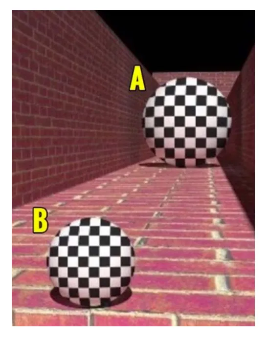 Optical illusion personality test| Optical illusion| Optical illusion Picture| Optical illusion Pictures|