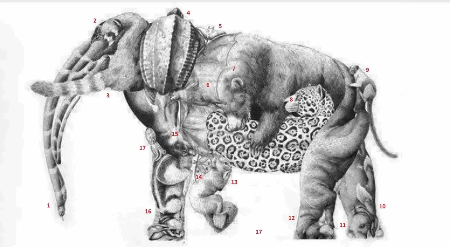 Optical illusion personality test, Optical illusion, Optical illusion Picture, Optical illusion Pictures, Optical illusion Latest,Optical illusion Viral, Optical illusion Personality, IE Malayalam