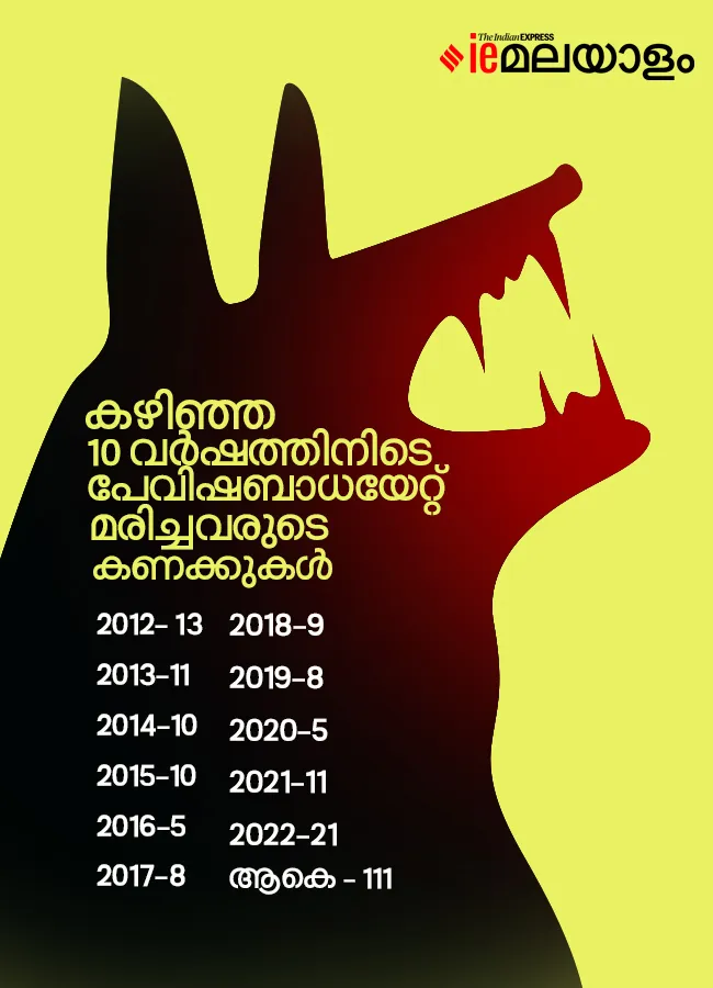 stray dogs|stray dogs issue| dog bite|