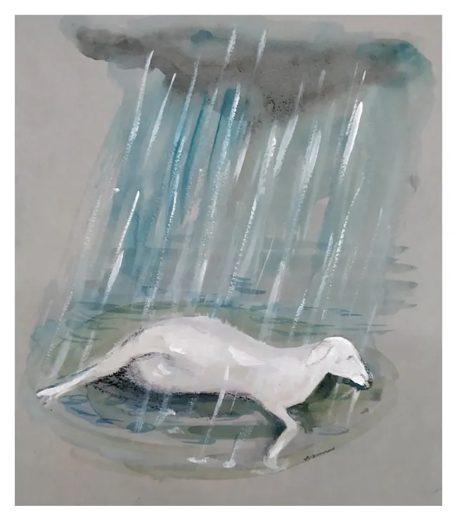 aruna narayanan | memories | rain | monsoon | iemalayalam