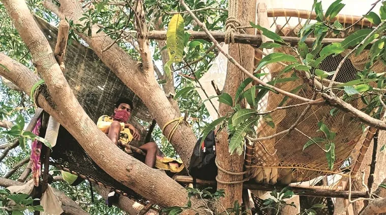 Coronavirus outbreak, India lockdown, quarantined on tree, kolkata news, indian express news