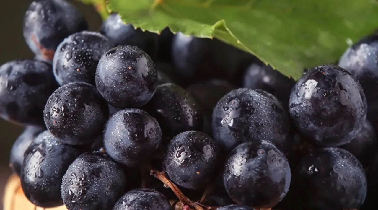 grapes
