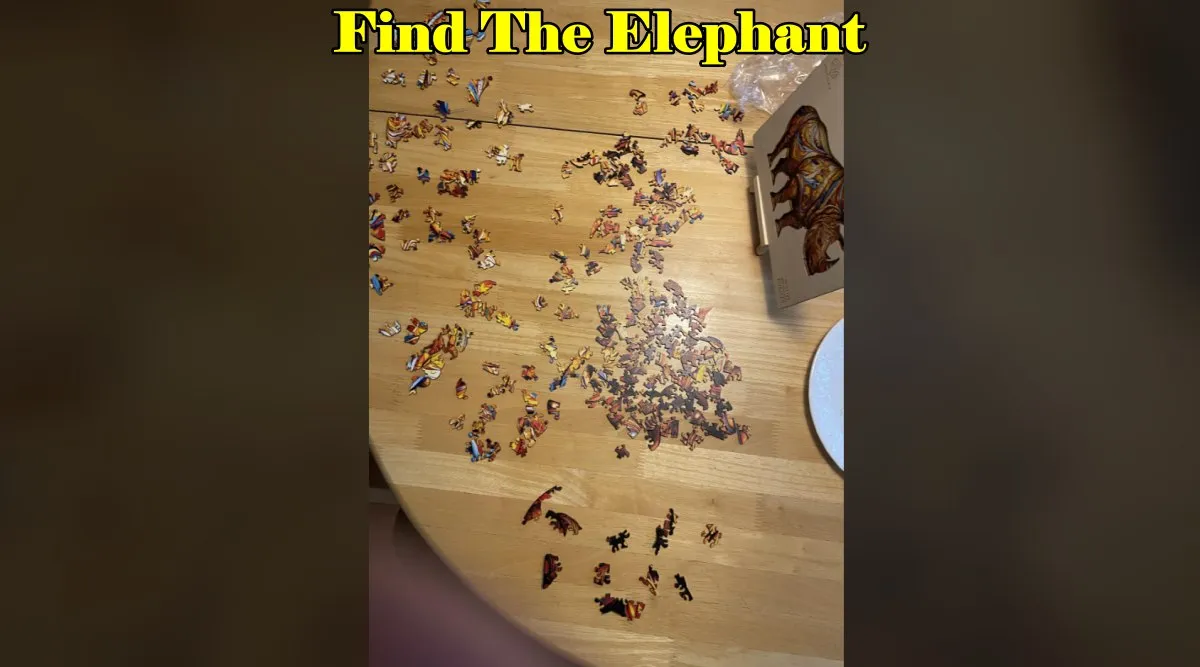 Elephant toy