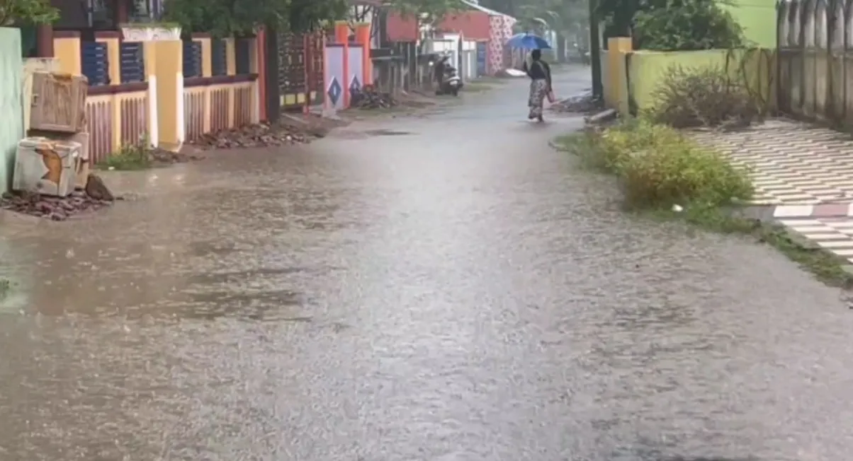 rain fl